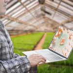 Los trabajos que están incorporando inteligencia artificial aunque no sean tecnológicos